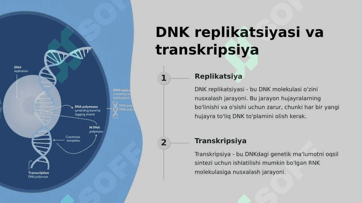 DNKning oqsil biosintezidagi roli. Ginetik injeneriya 4