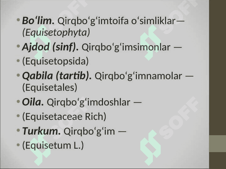 QIRQBO’G’IMTOIFA O’SIMLIKLAR 3