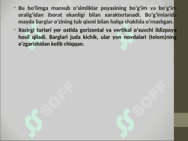 QIRQBO’G’IMTOIFA O’SIMLIKLAR 4