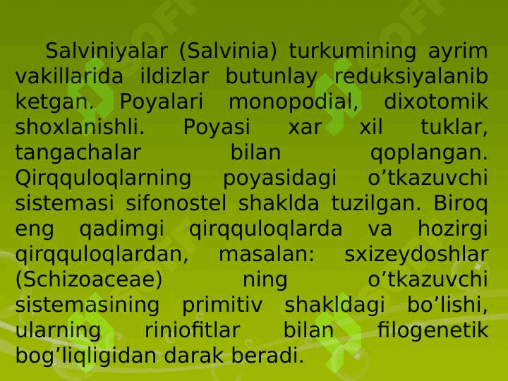 QIRQULOQTOIFA (POLYPODIOPHYTA)O’SIMLIKLAR 6