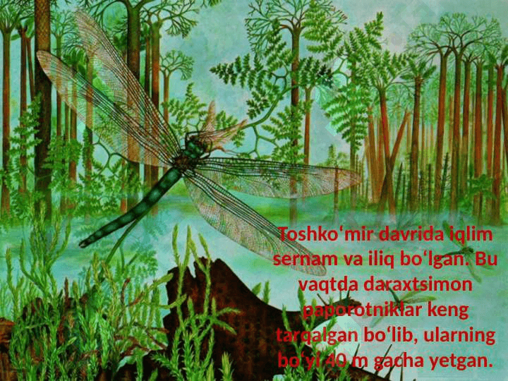 PAPOROTNIKLAR 4