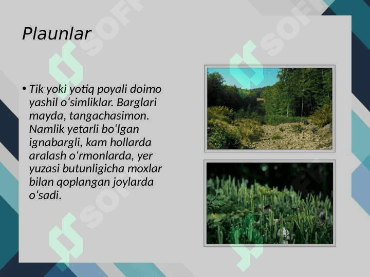 Plaunlar 2