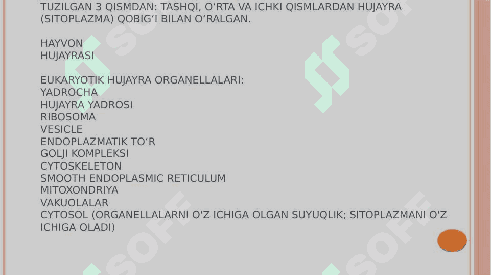 biologik  membrana funksiyasi va tuzulishi 4