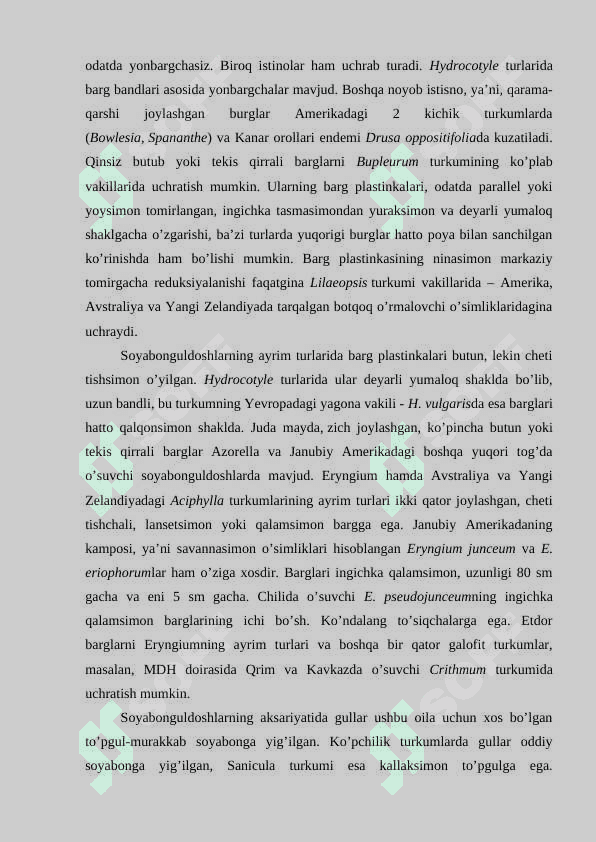 ZIRANAMOLAR (APIALES) QABILASI 8