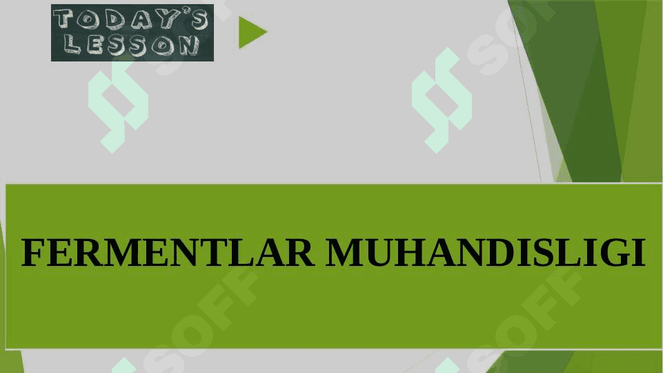 FERMENTLAR MUHANDISLIGI 2