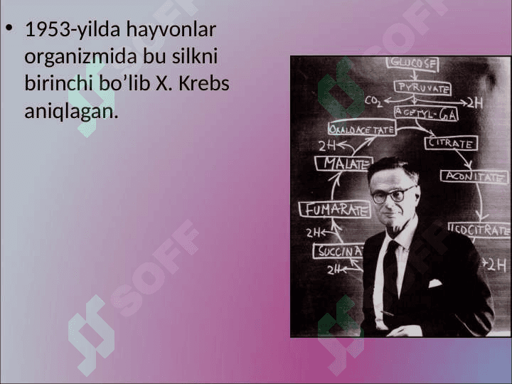 Krebs sikli 4