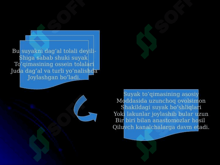 Suyak to'qimalari va muskul to’qimalari 5
