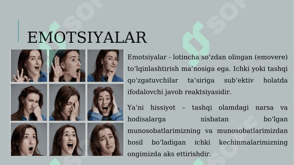 Hissiyot haqida tushuncha 2