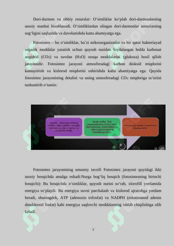 OʻSIMLIKLARNING INSON VA BIOSFERADA TUTGAN OʻRNI VA MUHOFAZASI 7