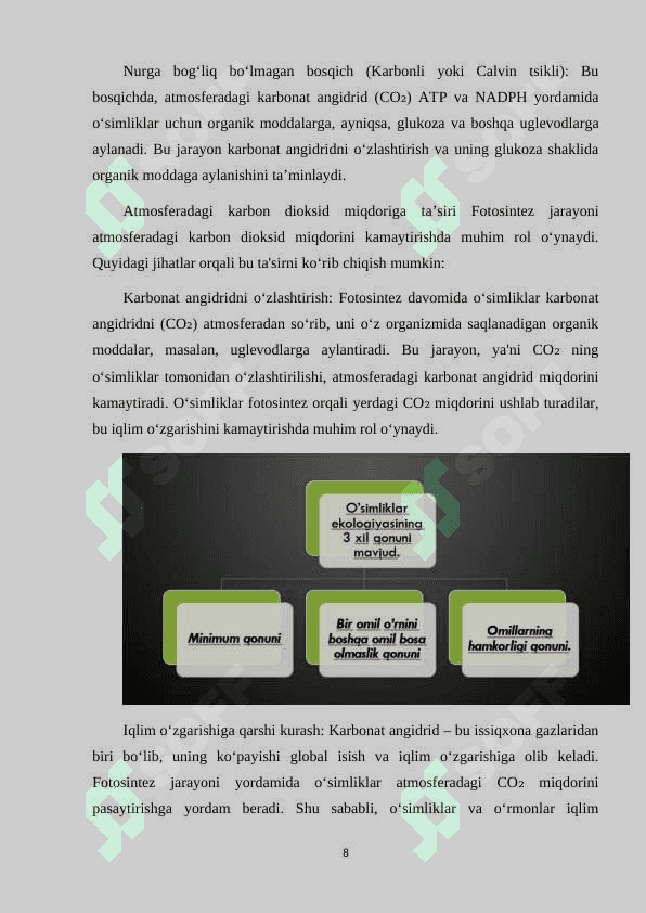 OʻSIMLIKLARNING INSON VA BIOSFERADA TUTGAN OʻRNI VA MUHOFAZASI 8