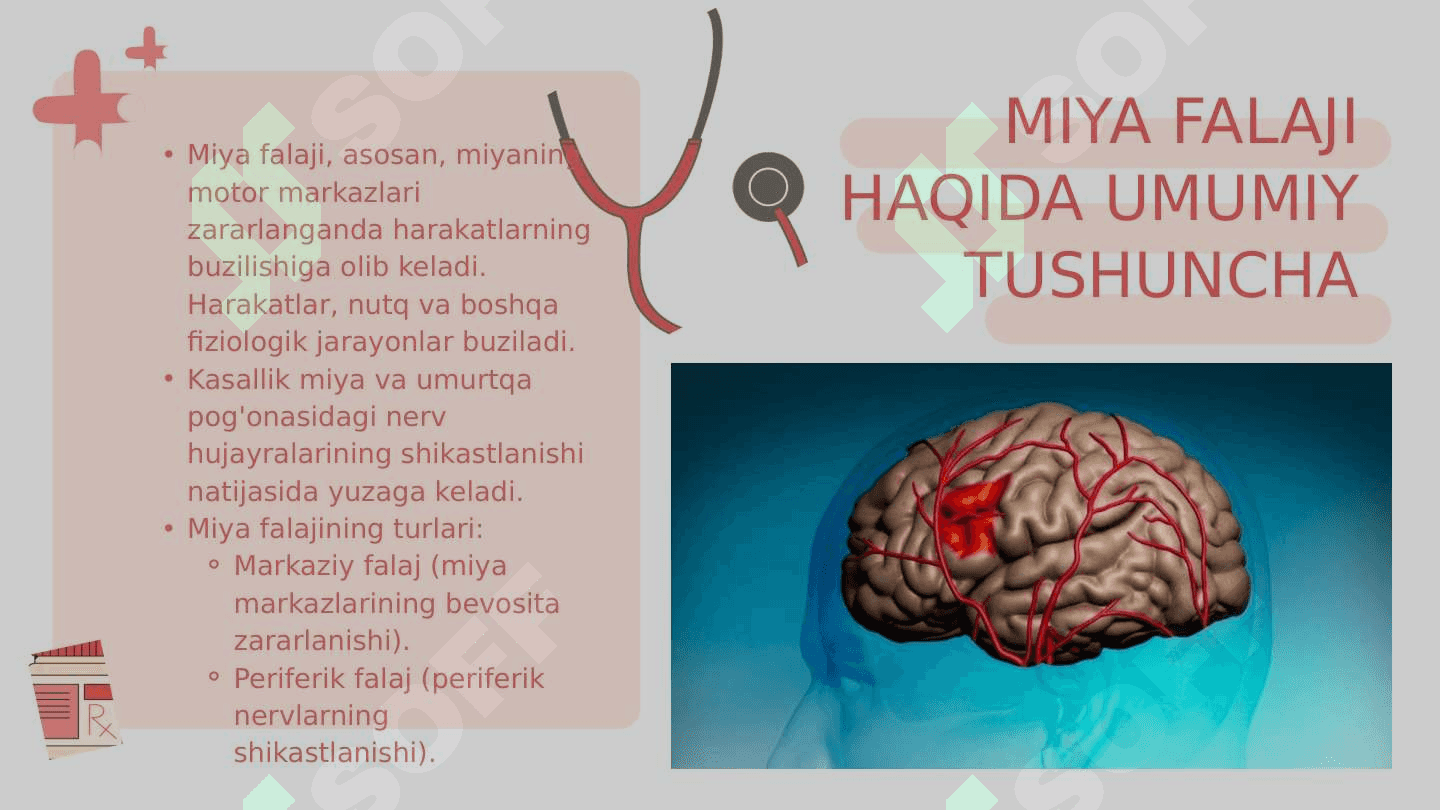 MIYA FALAJINING ETIOPATOGENEZI 3