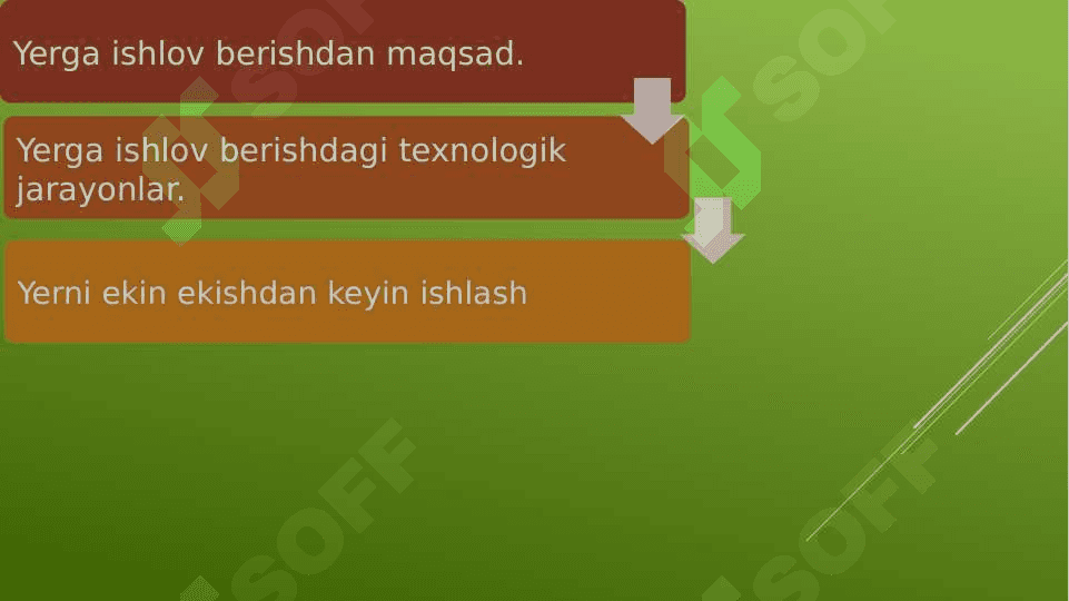 Ekin ekishdan keyin qator oralariga ishlov berish 2