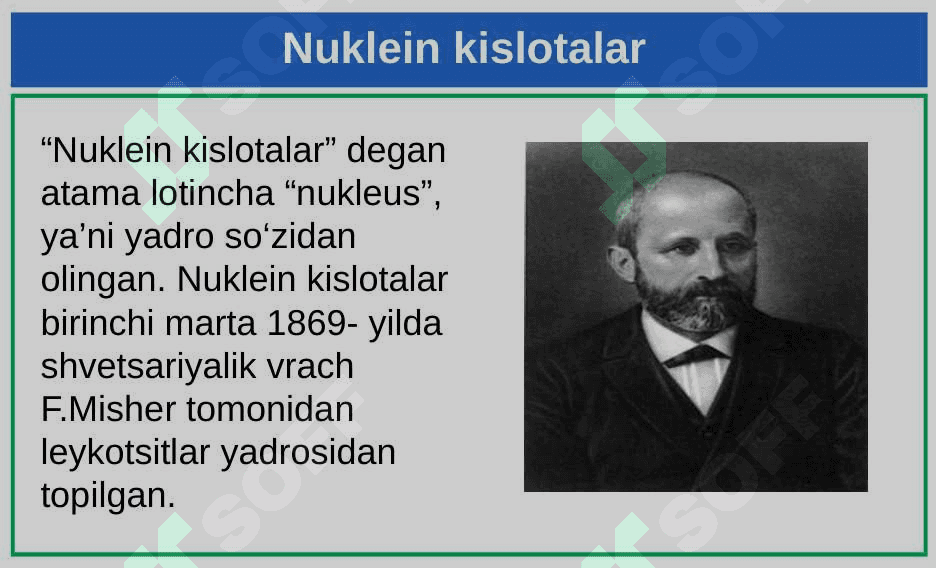 Nuklein kislotalar. Nukleotidlar. DNK 2