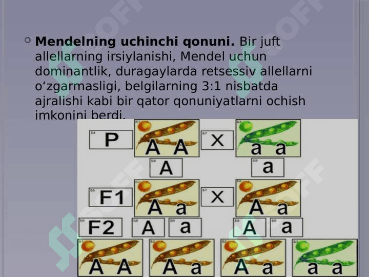 Plastik almashinuv. Oqsillar biosintezi. Genetik kod 2