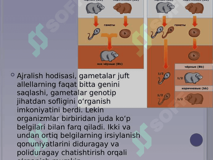 Plastik almashinuv. Oqsillar biosintezi. Genetik kod 3
