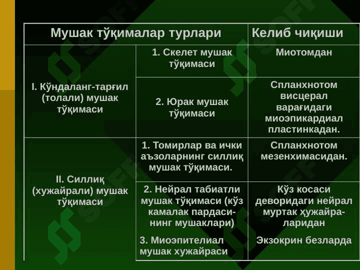 МУШАК ТЎҚИМАСИ 2