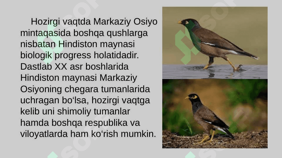 Organik olam evolutsiyasinig asosiy yo‘nalishlari 5