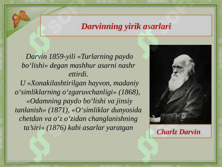 Hayvonlar evolyutsiyasi va ekalogiyasi 4