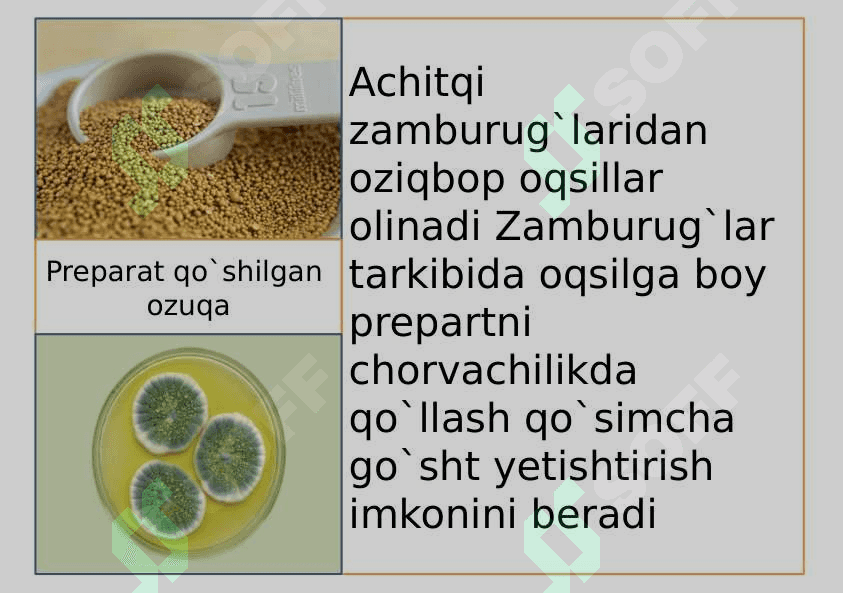 O`simlik va hayvonlar seleksiyasi 8