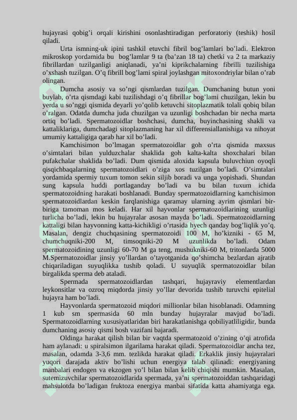JINSIY HUJAYRALAR. URUG’ HUJAYRASINING TUZILISHI 2