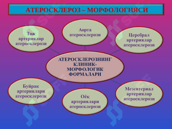 Атеросклероз. Гипертония касаллиги 8
