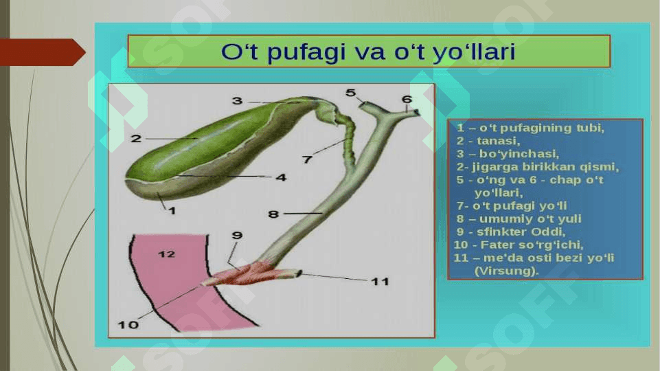 Yog’larga o’t suyuqligining  tasiri 3