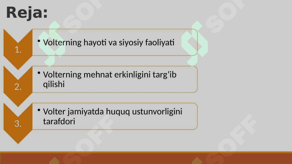 Fransua Mari Volterning siyosiy qarashlari 2