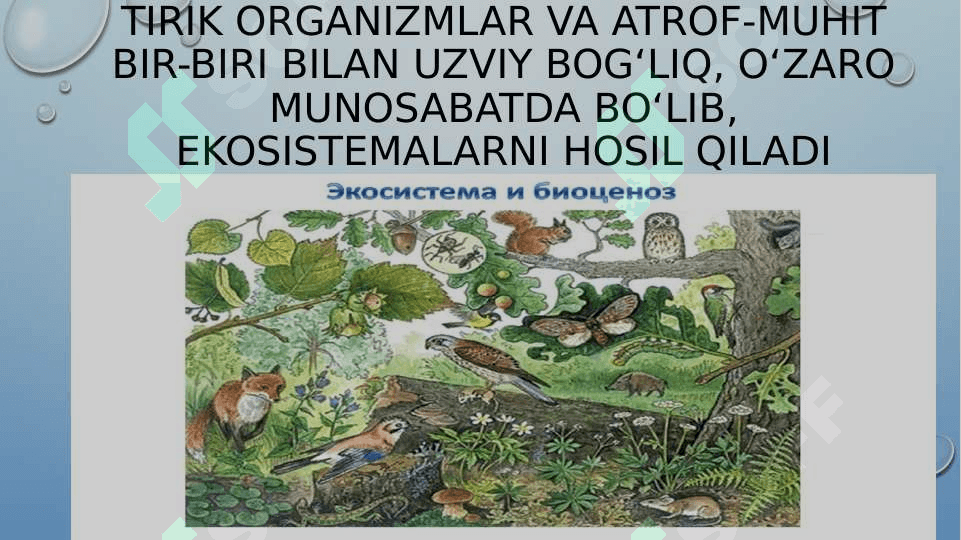 6-sinf. Sciens. EKOSISTEMALARDAGI O`ZARO MUNOSABATLARI 2