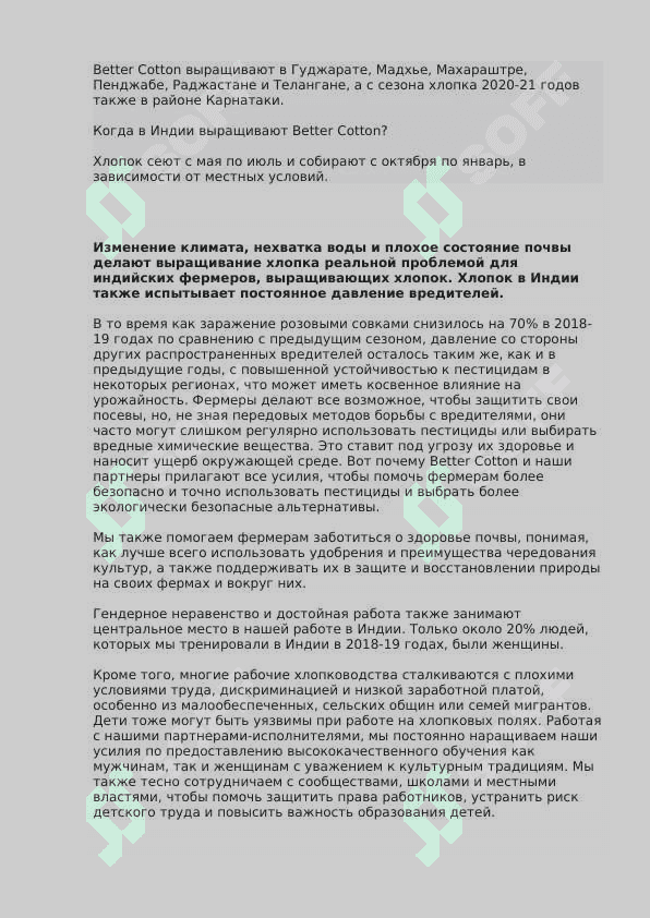 Лучший хлопок в Индии 2