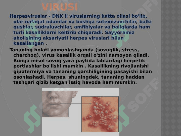 KASALLIK TARQATUVCHI VIRUSLAR 3