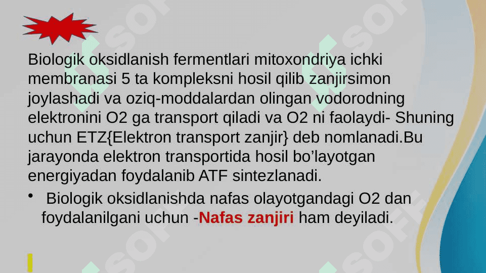 Biologik oksidlanish va katabolizmning umumiy yo’llari 6