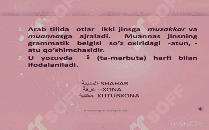 ARAB TILIda JINS KATEGORIYASI "ة" MARBUTA 4