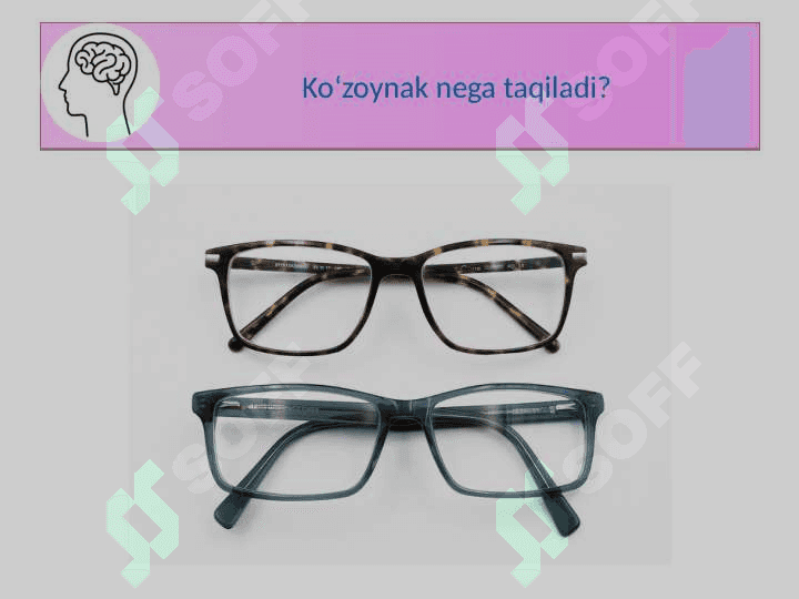 LINZALAR Tabiiy fan 2
