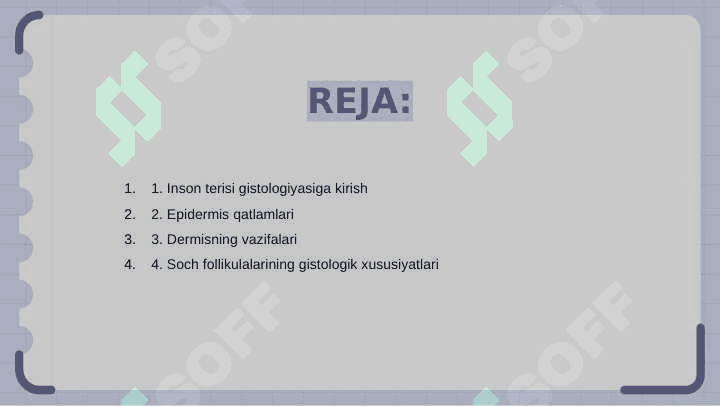Insonlar terisi va uning hosilalar gistalogiyasi 2