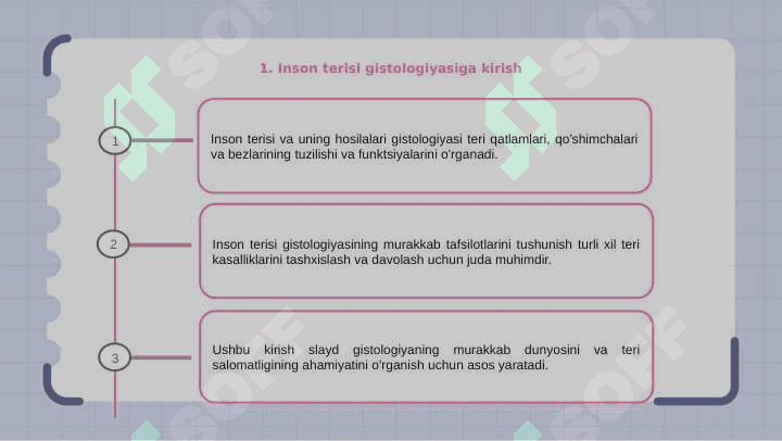 Insonlar terisi va uning hosilalar gistalogiyasi 3