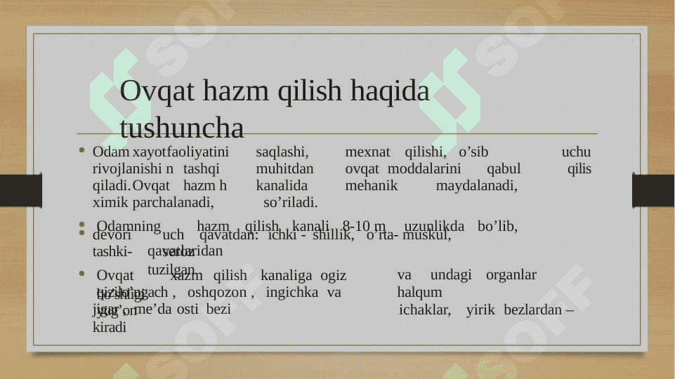 HAZM TIZIMI FILOGENEZI 3