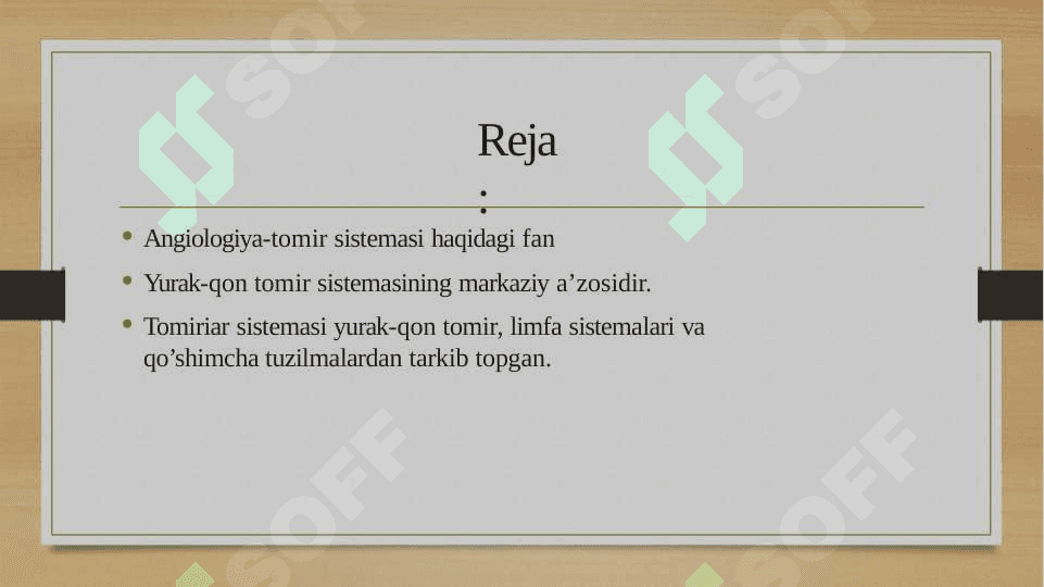 Qon aylanish tizimi 2