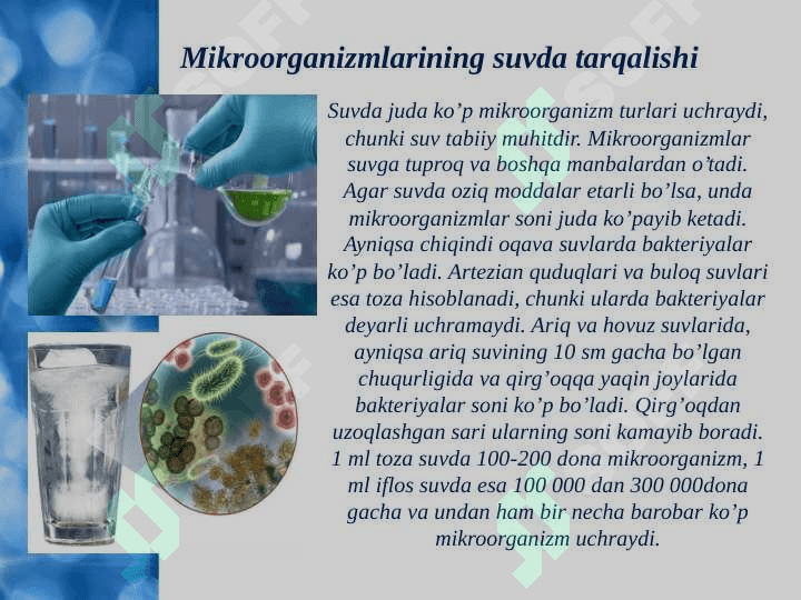 Mikroorganizmlarning tabiatda tarqalishi 4