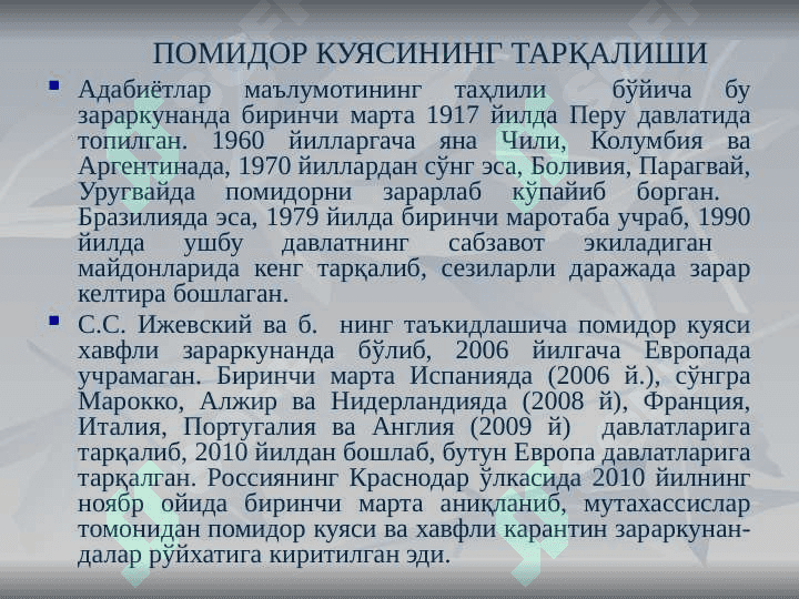 POMIDOR KUYASI SLAYT 2