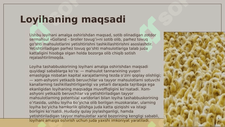 Tadbirkorlik   faoliyatlarini  tashkil  etish parrandachilik sohasida 6