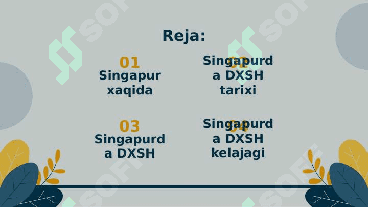 Singapurdavlatida davlat xususiy sherikchilik 2