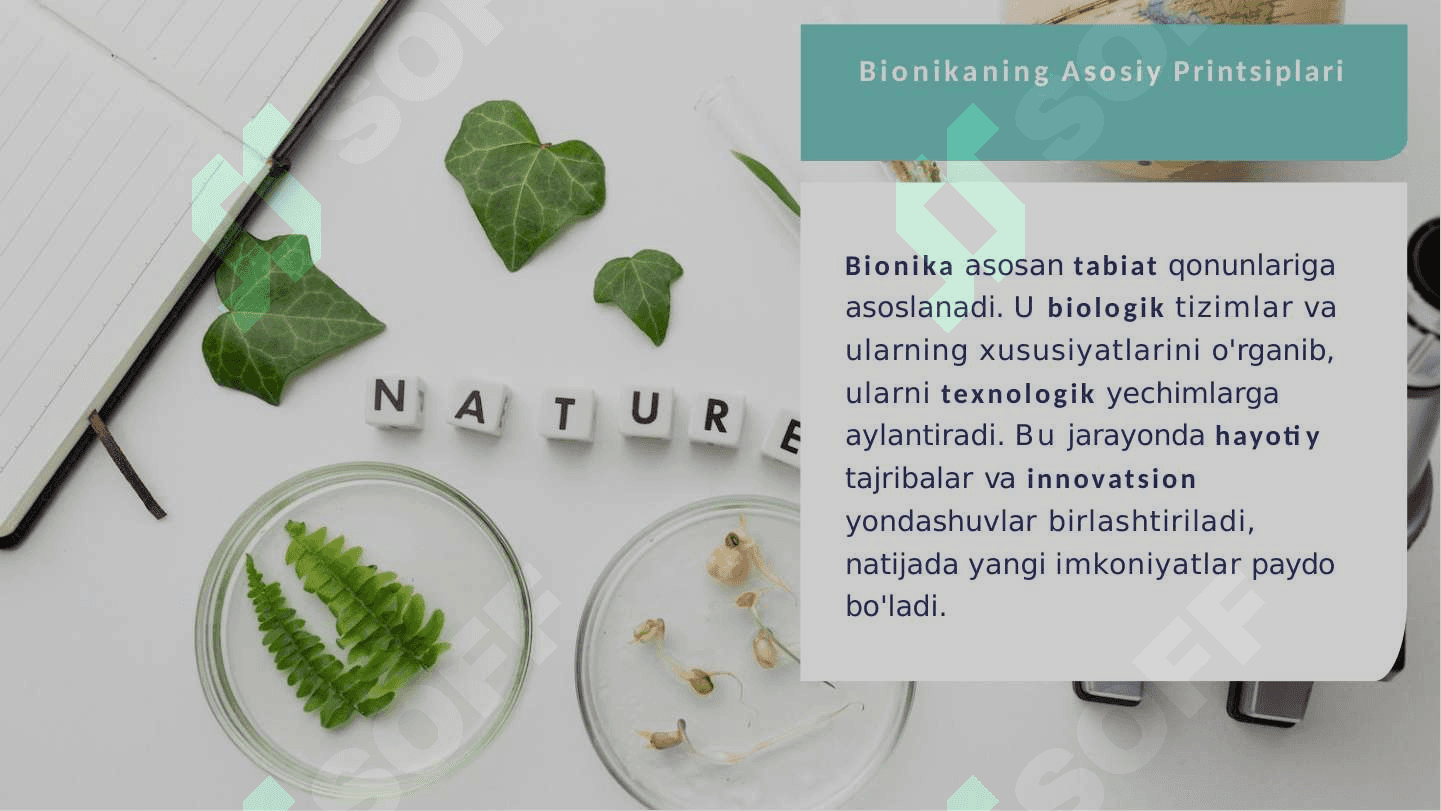 Bionika asoslari va uni inson hayotidagi o'rni 2 4