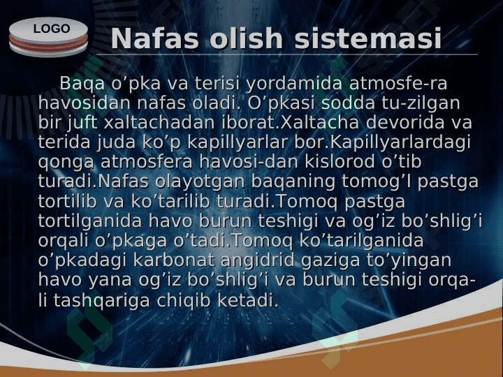 Ko’l baqasining ichki tuzilishi 3