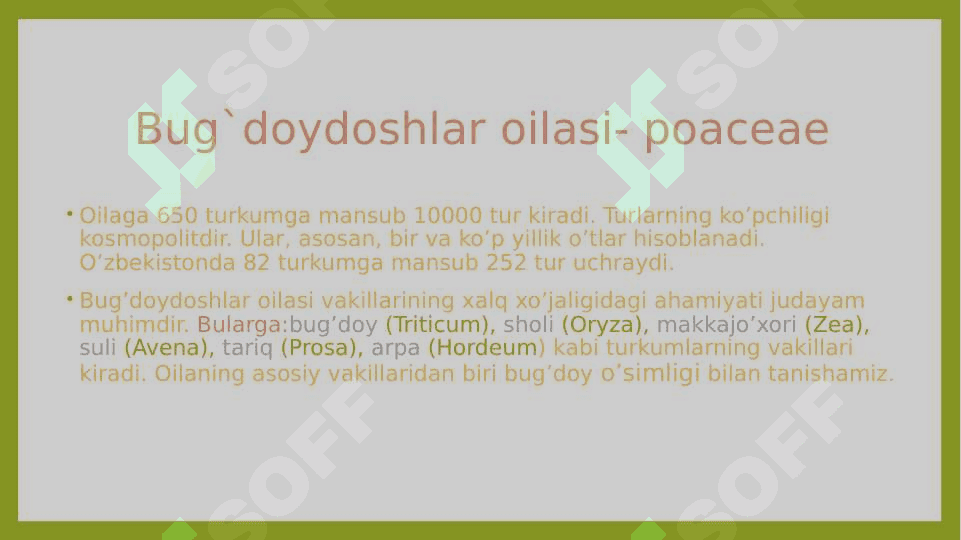Bug`doydoshlar  (boshoqdoshlar    poaceae  (graminiae)            oilasi 4