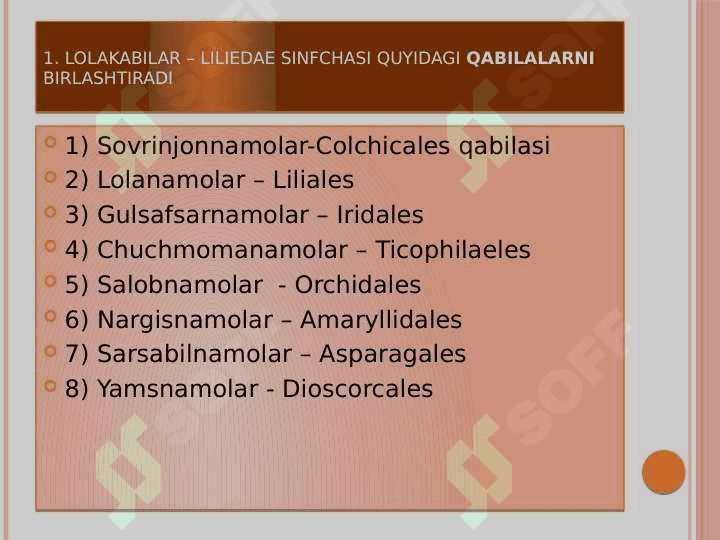 Bir urug’pallali o’simliklar – Liliopsida yoki  Monocotyledones sinfi 3