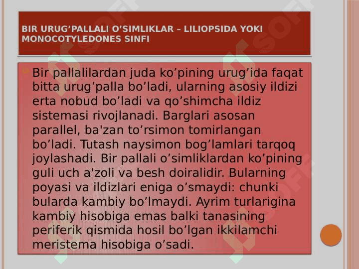 Bir urug’pallali o’simliklar – Liliopsida yoki  Monocotyledones sinfi 4
