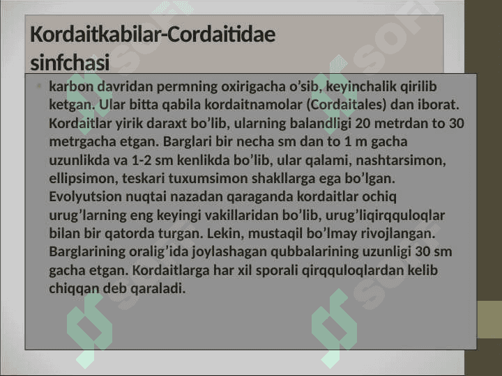 Qarag’aysimonlar-Pinopsida sinf (ajdod)i 2