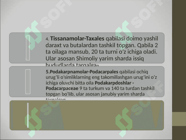 Qarag’aysimonlar-Pinopsida sinf (ajdod)i 4