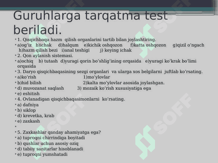O‘rgimchaksimonlar sinfi. Butli o‘rgimchak 4