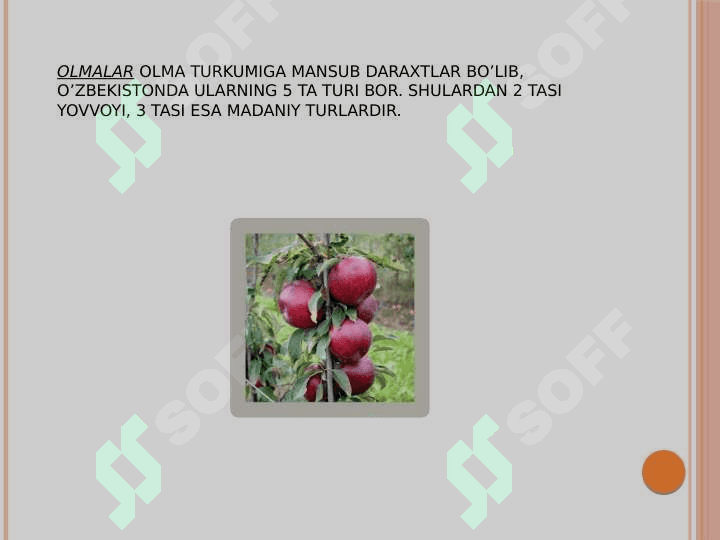RA’NOGULDOSHLAR OILASI 7